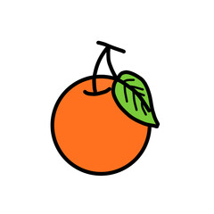 illustration of orange