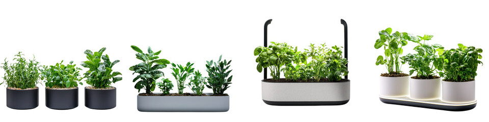Fototapeta premium Attractive indoor herb garden setup with various leafy potted plants and greenery for home cooking and interior decor Showcasing a sustainable and organized kitchen garden