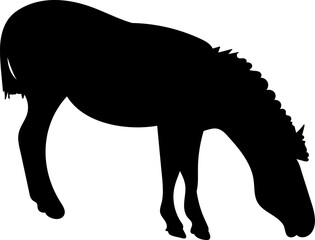 Fototapeta premium zebra silhouette, vector on white background