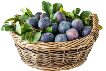 Freshly picked plums in a woven basket with green leaves