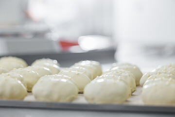 Freshly prepared dough balls chocolate potato in bakery factory setting