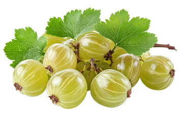 Green gooseberries with leaves on clear background