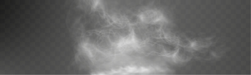 Realistic white smoke on transparent background with soft swirling effect, misty fog, airy vapor, atmospheric haze, drifting smog, subtle steam, floating cloud, delicate fumes.	
