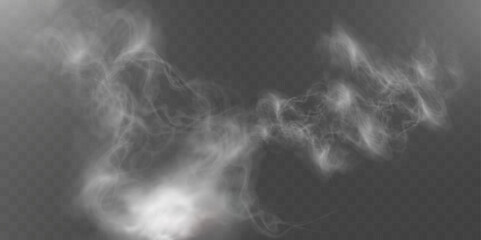 Realistic white smoke on transparent background with soft swirling effect, misty fog, airy vapor, atmospheric haze, drifting smog, subtle steam, floating cloud, delicate fumes.	
