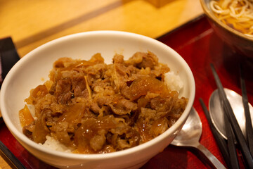 Japanese food meat gyudon with rice or garlic fried rice recipe beef of local restaurant shop in Ariake train JR railway Station of Tokyo Bay in Koto City, Tokyo, Japan