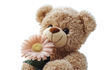 Teddy bear holding pink flower with a soft expression