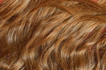 Naklejka premium natural, long female hair, grooming, combing hair, hairstyle of a man, a girl. background for the design.