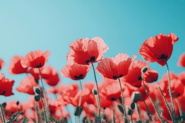 Fototapeta premium Vibrant wildflowers dancing under a bright blue sky in a serene meadow on a sunny day