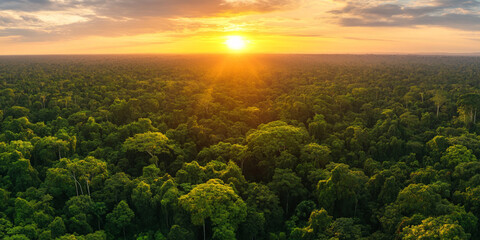 Aerial sunset view of the Amazon Rainforest, symbolizing hope for conservation