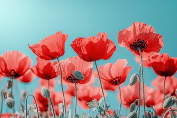 Fototapeta premium Vibrant wildflowers bloom in a sunny meadow under a clear blue sky, capturing the essence of nature's beauty