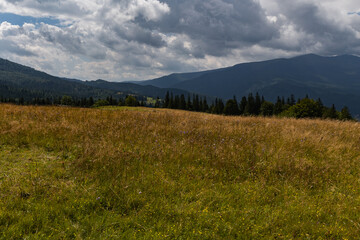 yellowed grass, trees and mountains on the horizon