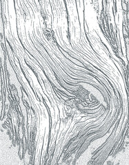 wooden texture vector