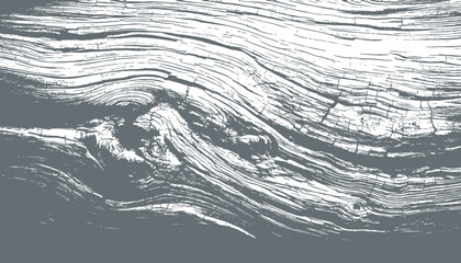 wooden texture vector
