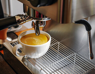Close-up of espresso pouring from the coffee machine into a coffee cup. Professional coffee brewing
