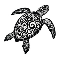 turtle vector illustration