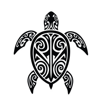 turtle vector illustration