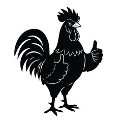 rooster isolated on white background