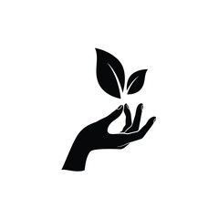 hand holding green leaf