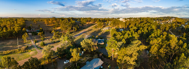 Sunlight on trees with long shadows at the intersection of bush and built environment