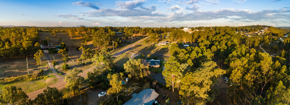 Sunlight on trees with long shadows at the intersection of bush and built environment