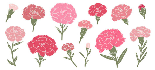 Set of pink and red carnations. Flowers in flat in hand-drawn style. Vector illustration isolated on white background. Carnations of different shapes and types. Suitable for invitations, cards