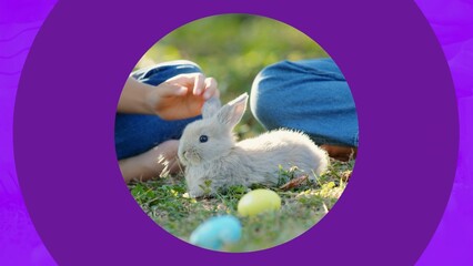 Colorful Circle Shaped Reveal Transition