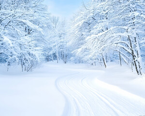 Obraz premium Winter wonderland trail through snowy forest (1)