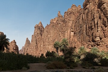 View of the canyon of Wadi Disah in the Tabuk region. Saudi Arabia. Asia.