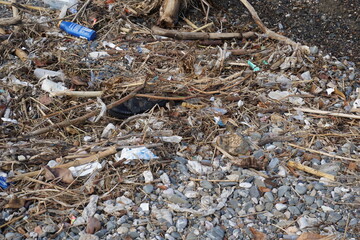 Ocean shore polluted with garbage