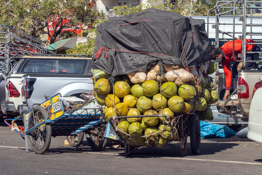 Fully loaded cart of coconuts at the market near the border crossing, Thailand