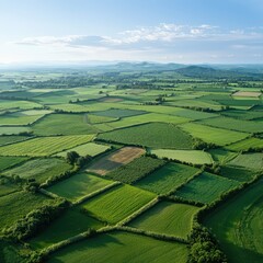 Fototapeta premium Aerial shot of diverse crop rotation patterns in expansive fields under midmorning light