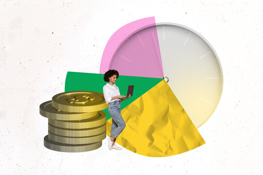 3D photo collage trend sketch template artwork of pile coins rich earnings savings trade bank clock time young lady stand work laptop