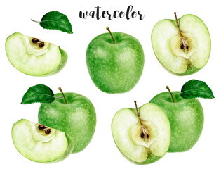 Hand-Painted Watercolor Granny Smith Green Apple Illustration Isolated on White