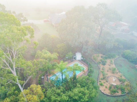 Looking down on garden and pool in front yard on misty morning