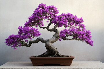 stunning bougainvillea bonsai tree with vibrant purple flowers, showcasing intricate branches and textured trunk. This beautiful plant adds elegance to any space