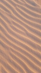 textura de areia movida pelo vento 
