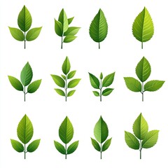 Green leaf vector icon set isolated on white background, simple flat design logo style. Collection of green tea leaves symbols for natural, organic products, and environmental protection concepts. Per