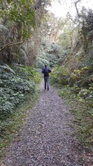 Fototapeta premium homem em trilha na mata atlântica