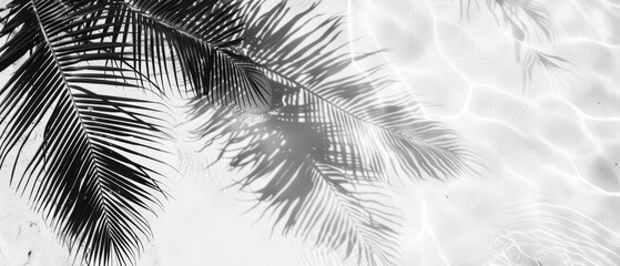 Elegant palm shadows on serene water surface