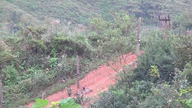 Barbed wires on the North Korean side in the DMZ, Panmunjom, North Korea
