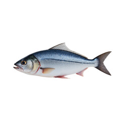 Naklejka premium Silver and Blue Fish Showcasing Unique Features for Sale