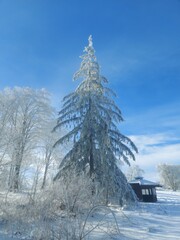 Winterlandschaft Rh&ouml;n