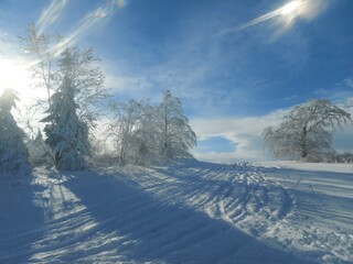 Winterlandschaft Rh&ouml;n