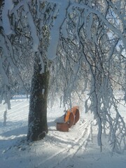 Winterlandschaft Rh&ouml;n