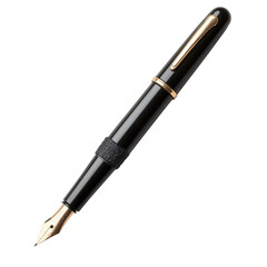 Elegant Black Fountain Pen with Gold Accents and Textured Grip