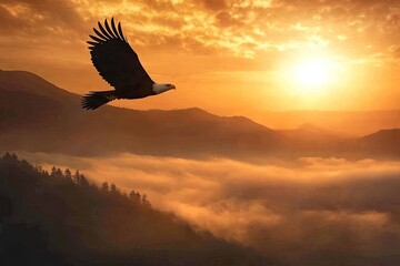 A bald eagle soaring over a misty mountain range at sunrise