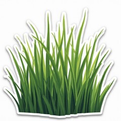 Vibrant Green Sticker of Tall Grass with a Clean Cut Outline