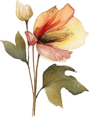 Vector Watercolor painted flower illustration. Hand drawn flower design elements isolated on white background.