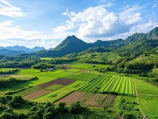 Agroecology practices enhancing biodiversity diverse fields morning light midangle shot realistic environment