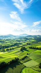 Fototapeta premium Biodiversity in farming colorful patchwork of crops panoramic landscape bright sun realistic view
